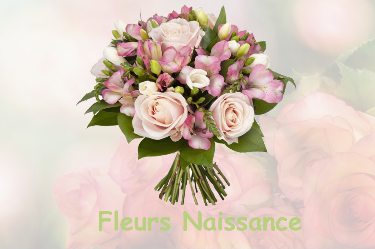 fleurs naissance SAINT-GEORGES-DE-NOISNE